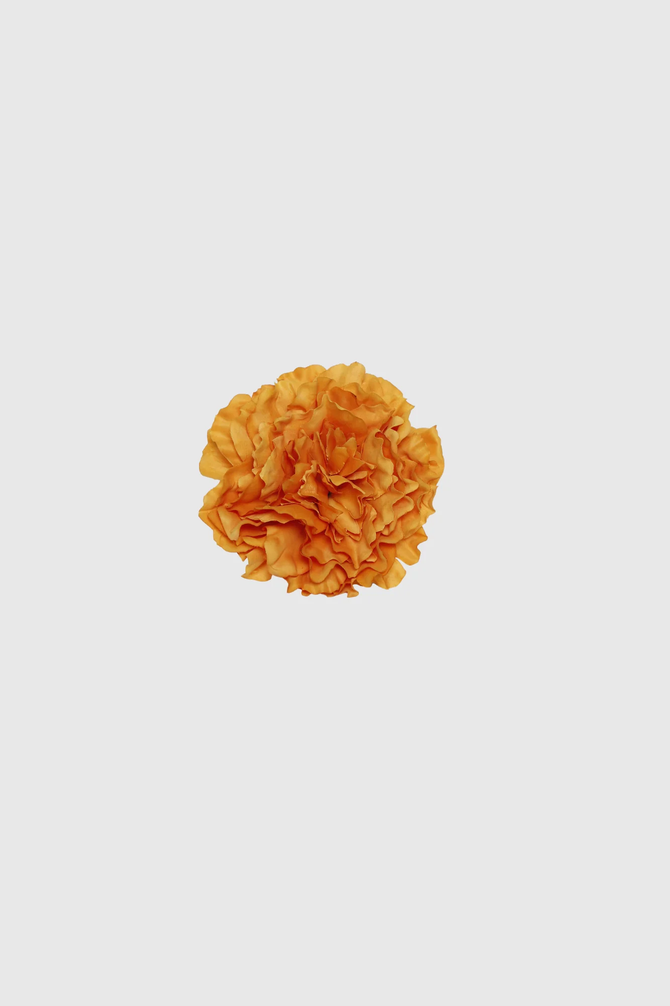 Imagen del producto 8